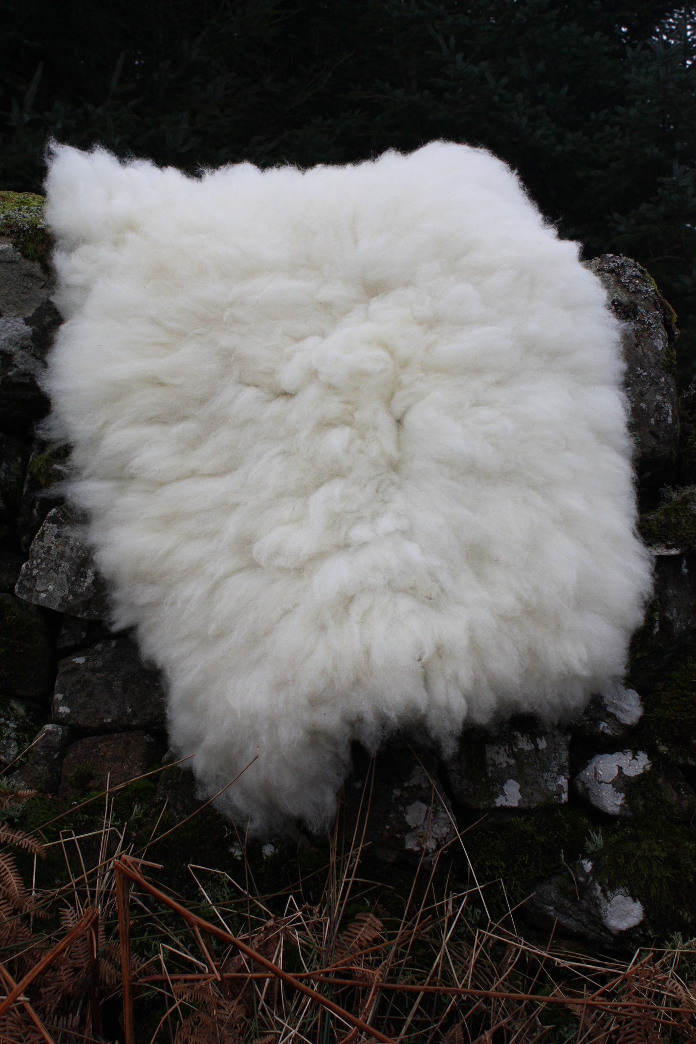 Felted fleece “sheepskin” rug, natural cream, ivory – Mule fleece – Mandy - Image 4