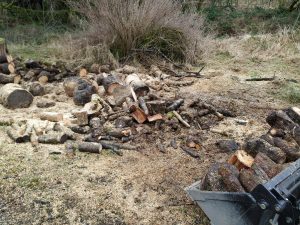 firewood
