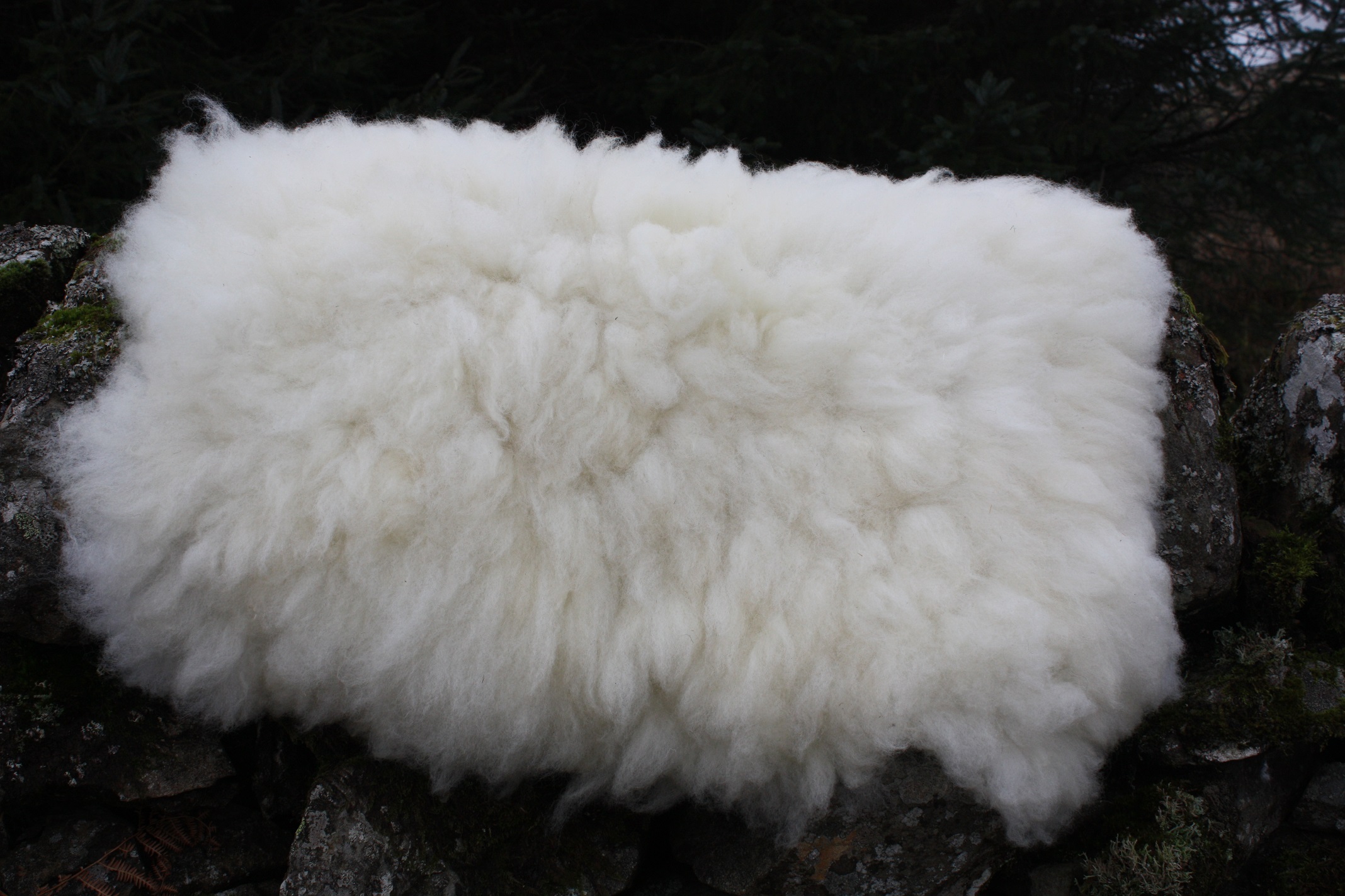 Felted fleece “sheepskin” rug, natural cream, ivory – Mule fleece – Mandy - Image 3