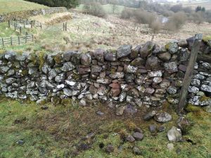 dry stone dyke repaired