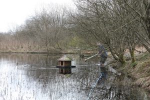 duck house - getting feet wet