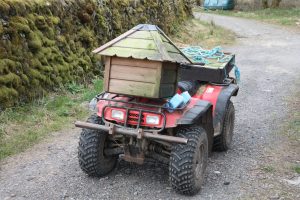 duck house ready to go