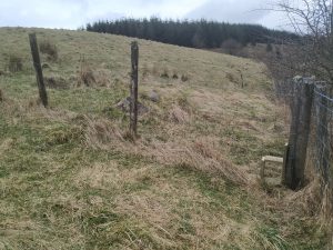 emergency hen gate