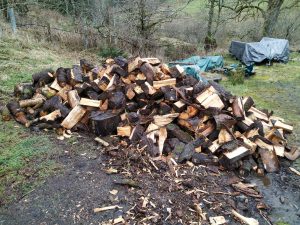 log pile chopped