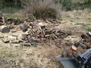 logs being sawn