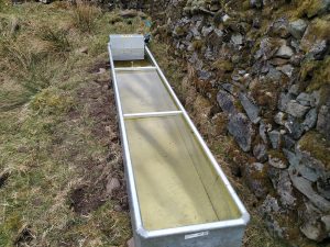 trough full of water