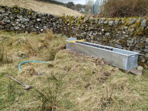 new water trough - trough in place