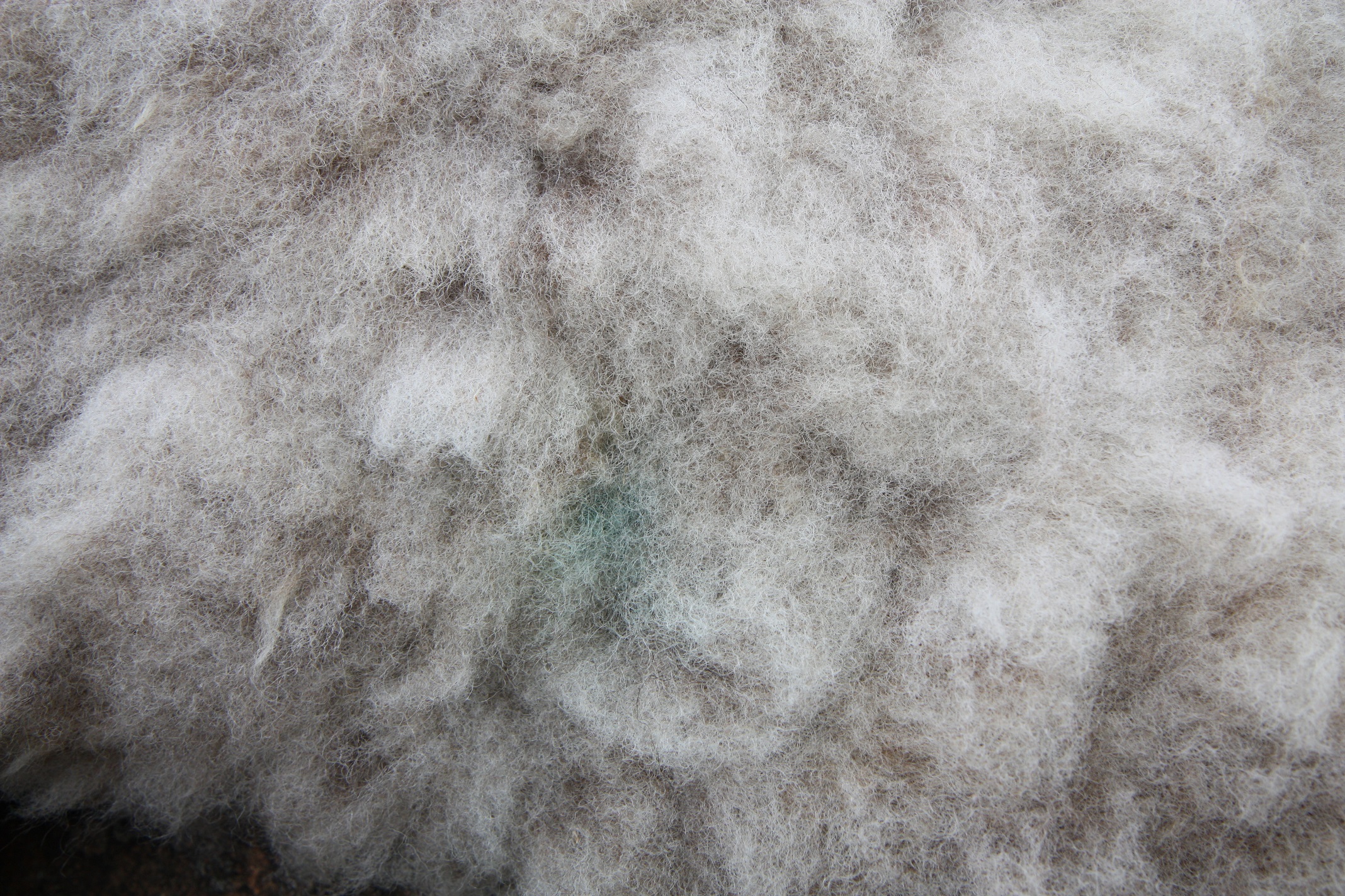 Homegrown, felted fleece "sheepskin" rug, natural pale grey with tiniest hint of beige - Coloured Ryeland fleece - Witchy - Image 11