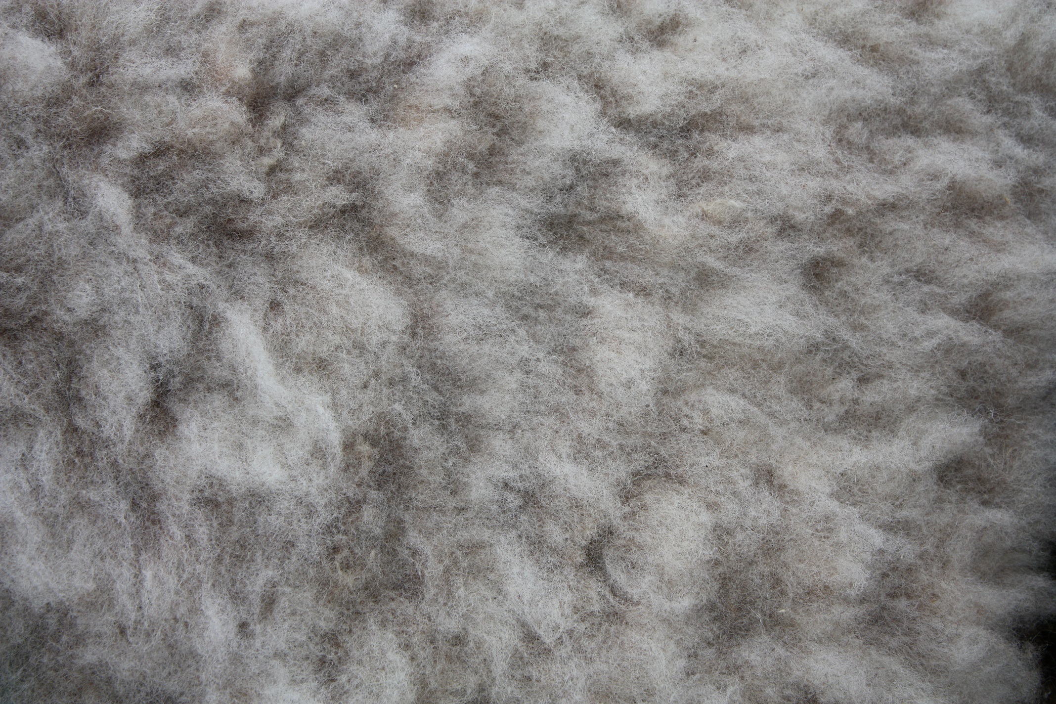 Homegrown, felted fleece "sheepskin" rug, natural pale grey with tiniest hint of beige - Coloured Ryeland fleece - Witchy - Image 9