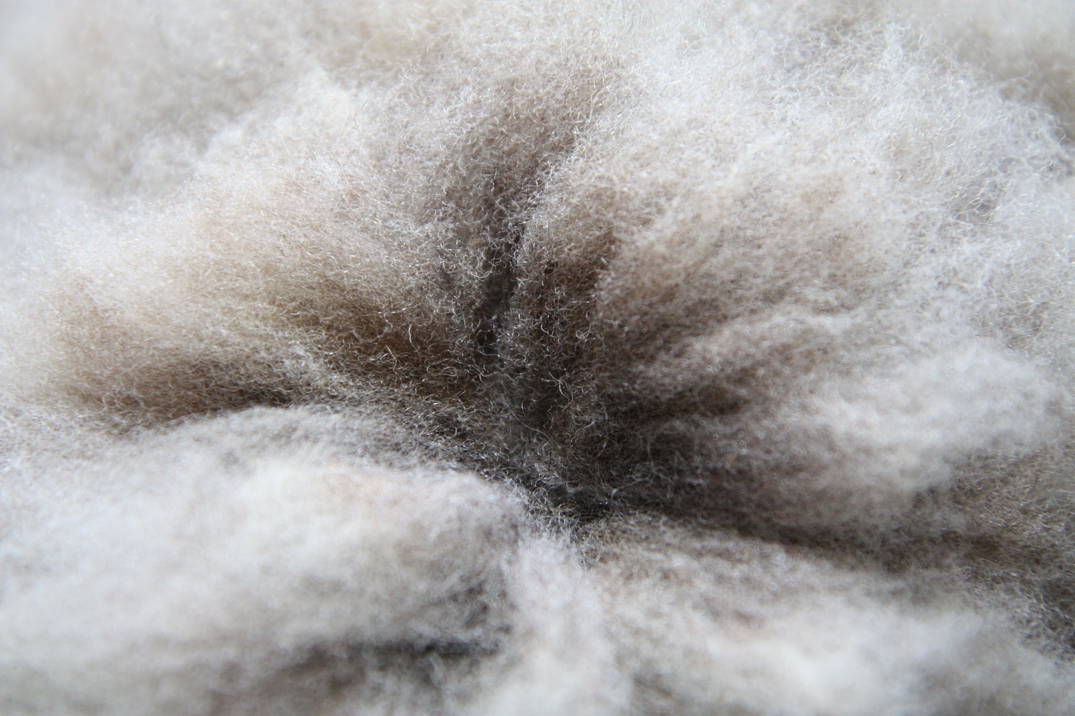 Homegrown, felted fleece "sheepskin" rug, natural pale grey with tiniest hint of beige - Coloured Ryeland fleece - Witchy - Image 8