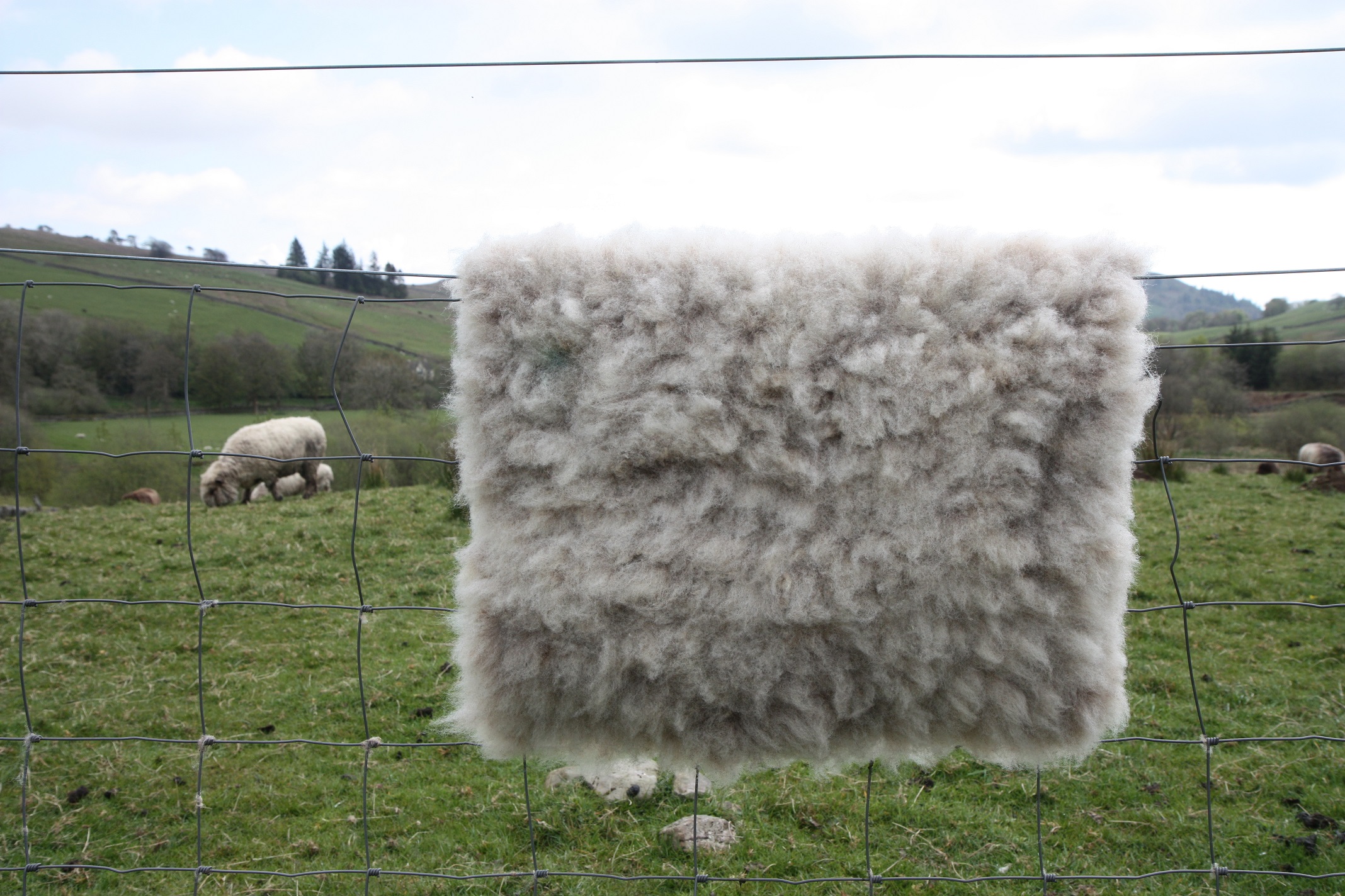Homegrown, felted fleece "sheepskin" rug, natural pale grey with tiniest hint of beige - Coloured Ryeland fleece - Witchy - Image 7