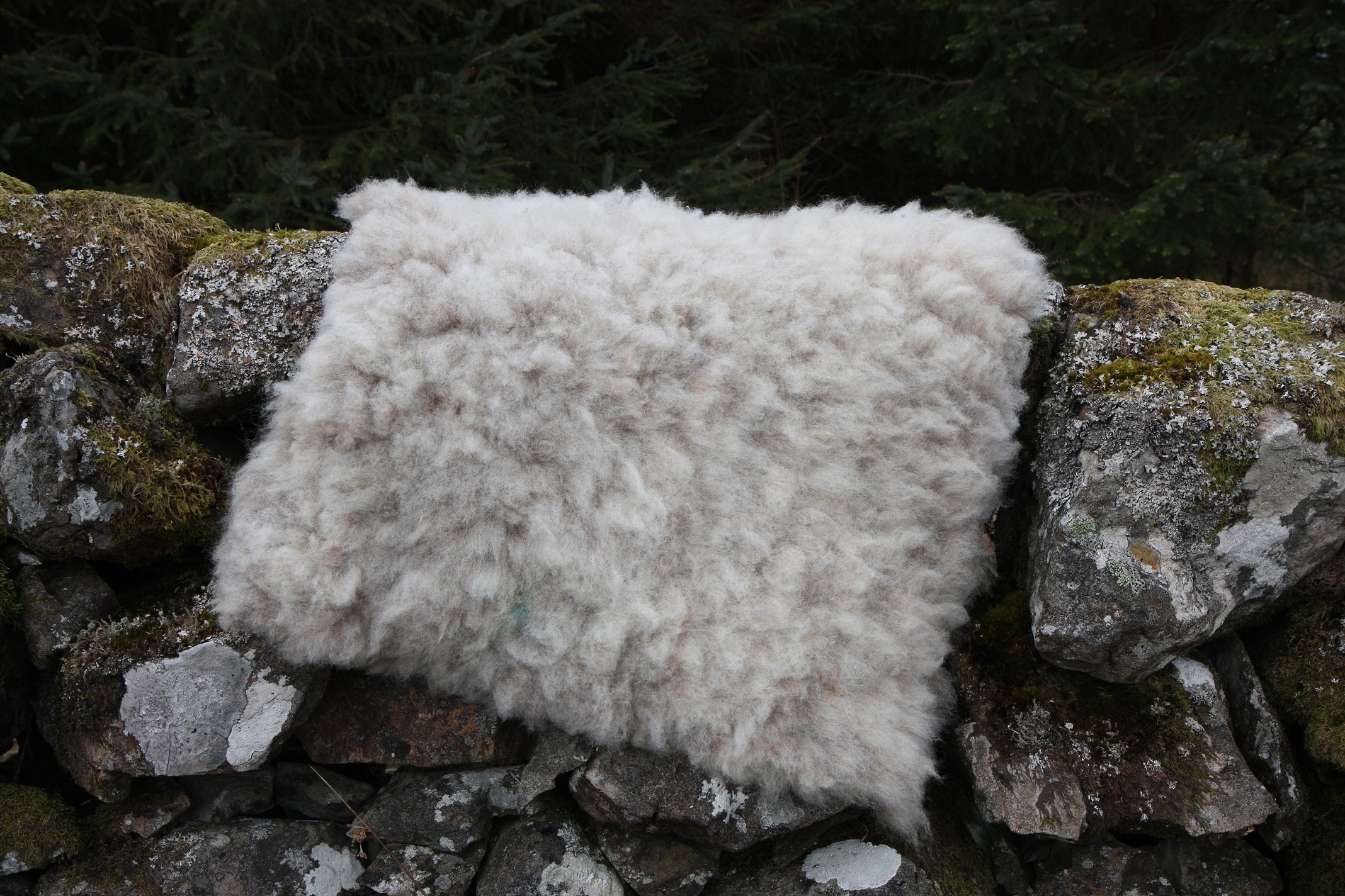 Homegrown, felted fleece "sheepskin" rug, natural pale grey with tiniest hint of beige - Coloured Ryeland fleece - Witchy