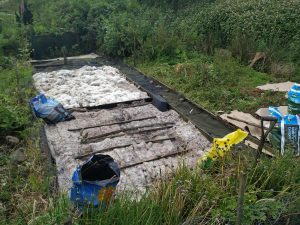 veg patch covered