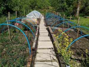 vegetable patches