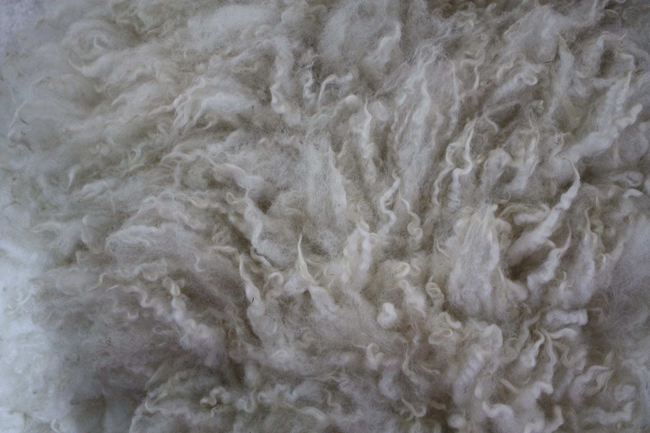 Felted fleece rug, cream, super long locks - Mule fleece - small - Image 3