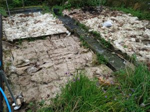 polytunnel area covered