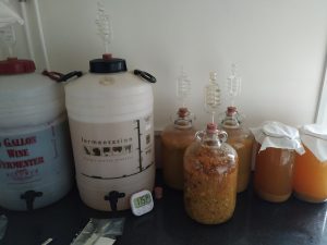 autumn homebrew