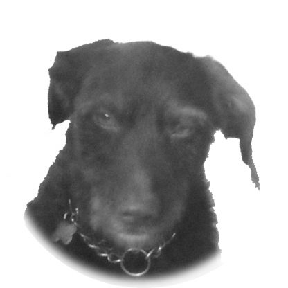 Kika