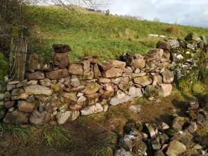 stone dyke nearly built