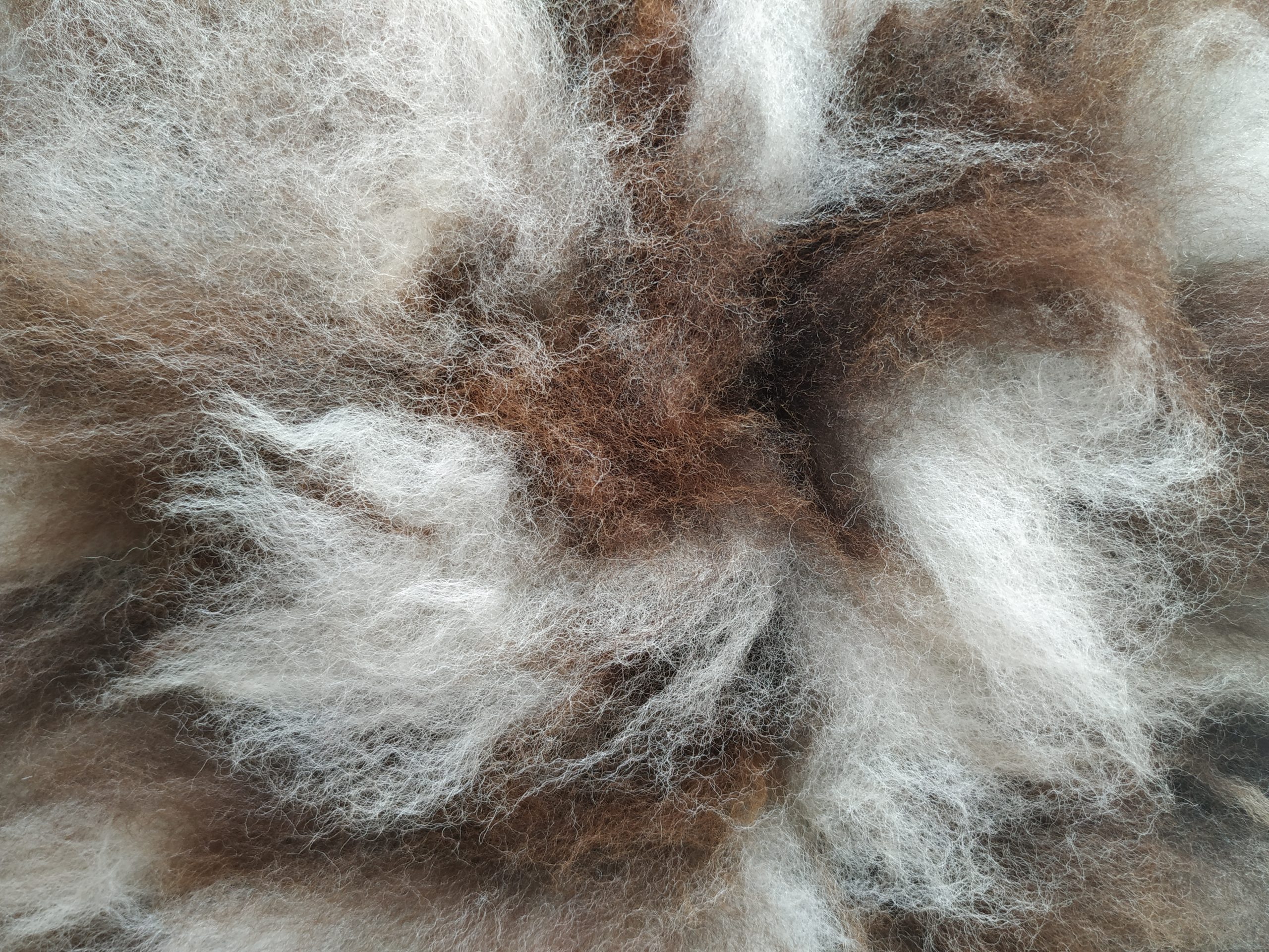 Felted fleece “sheepskin” cushion, natural brown & white – Jacob fleece - 15 x 14 x 5 inches - Image 3