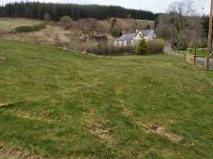 new paddock