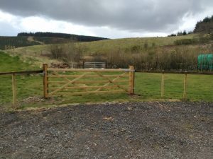 new paddock gate
