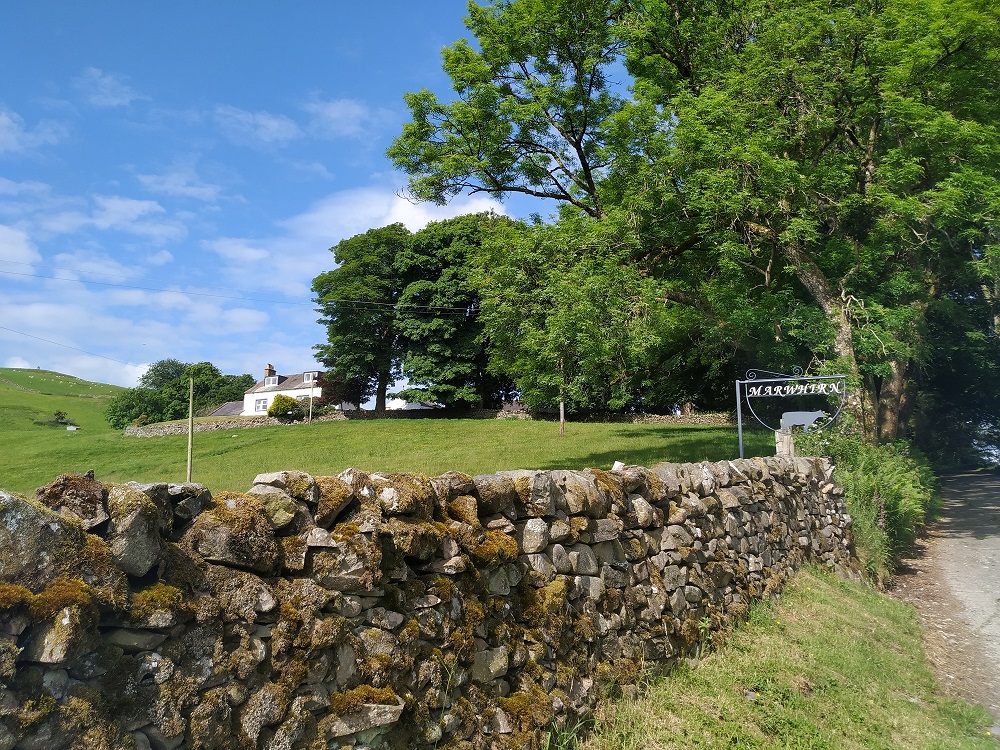 Felted-fleece, sheep-friendly, “sheepskin” rug – natural palest creamy-white – Scotch Mule hog fleece – 34” x 21” - Image 8