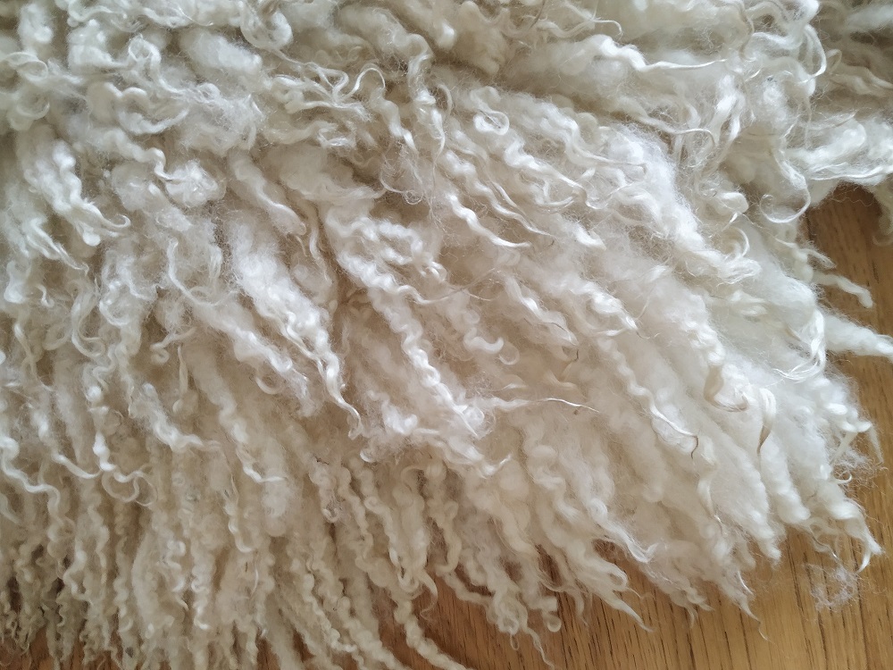 Felted-fleece, sheep-friendly, “sheepskin” rug – natural cream – Scotch Mule Hog fleece – 36” x 23” - Image 6