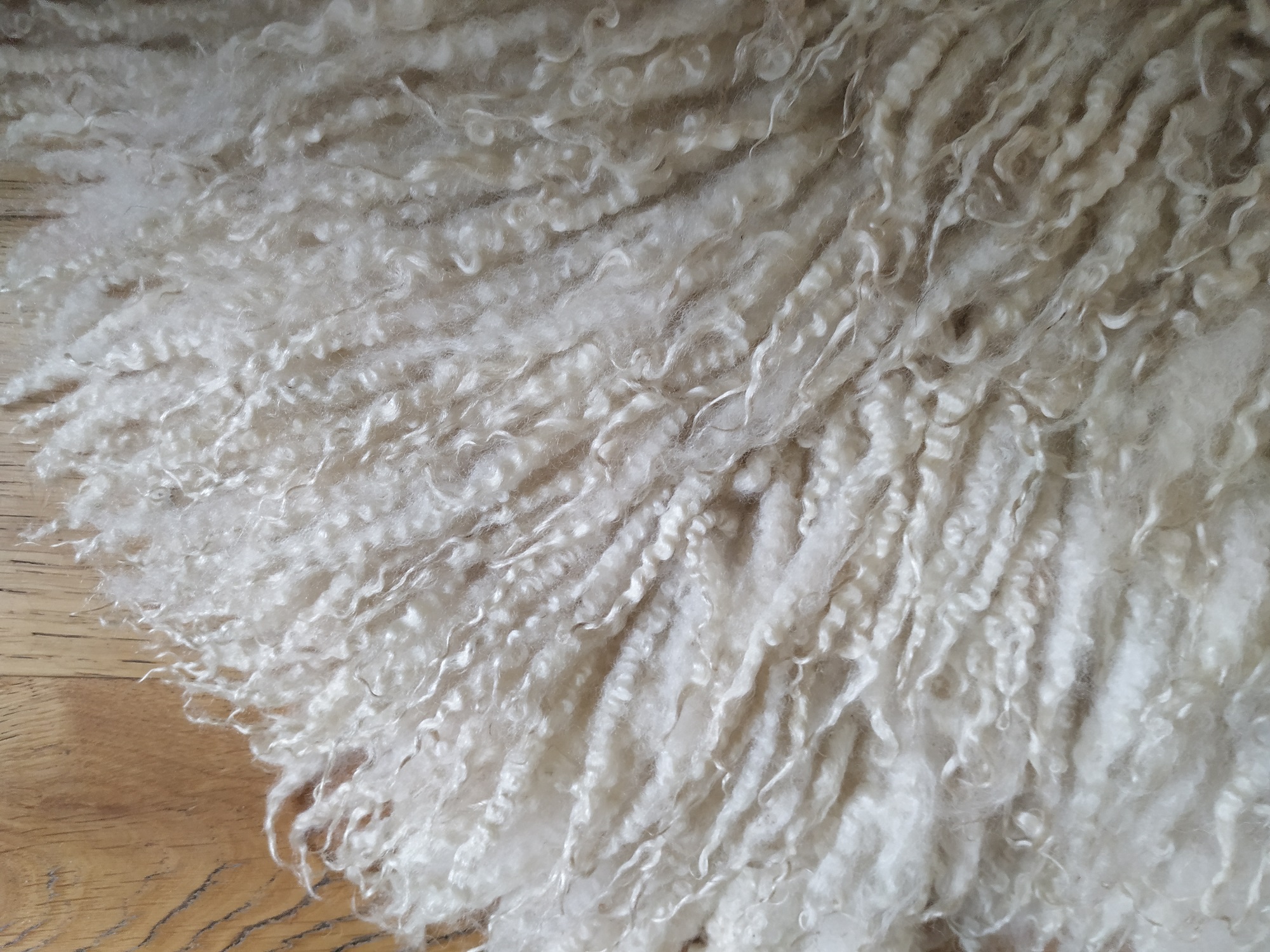 Felted-fleece, sheep-friendly, “sheepskin” rug – natural cream – Scotch Mule Hog fleece – 36” x 23” - Image 4