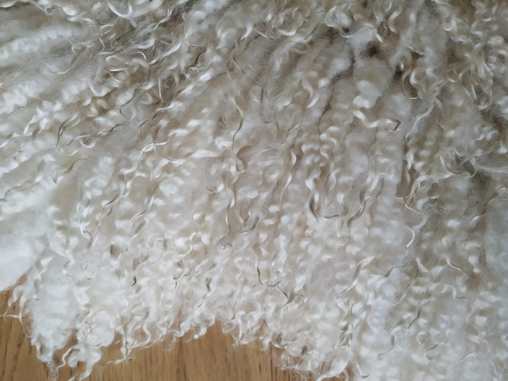Felted-fleece, sheep-friendly, “sheepskin” rug – natural cream – Scotch Mule Hog fleece – 36” x 23” - Image 5