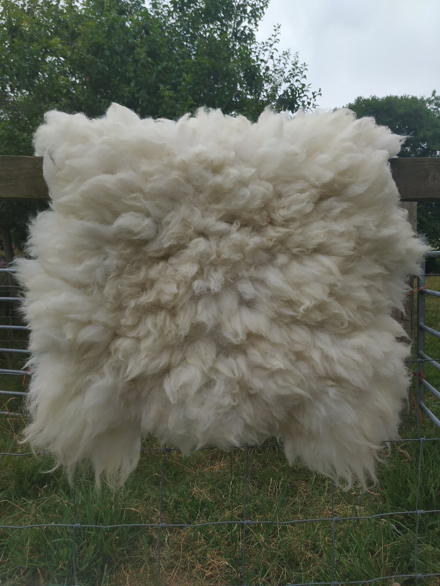 Felted-fleece, sheep-friendly “sheepskin” rug – natural cream – Texel x Herdwick fleece – 28” x 20”