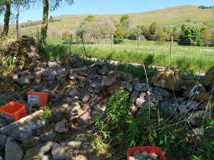 stone dyke ready for rebuild