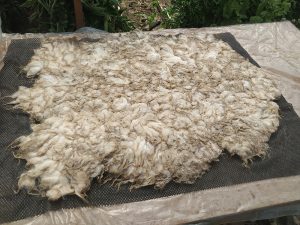 felted fleece rug workshop