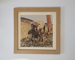 Sheep Art - Witchy & Yogi lamb framed