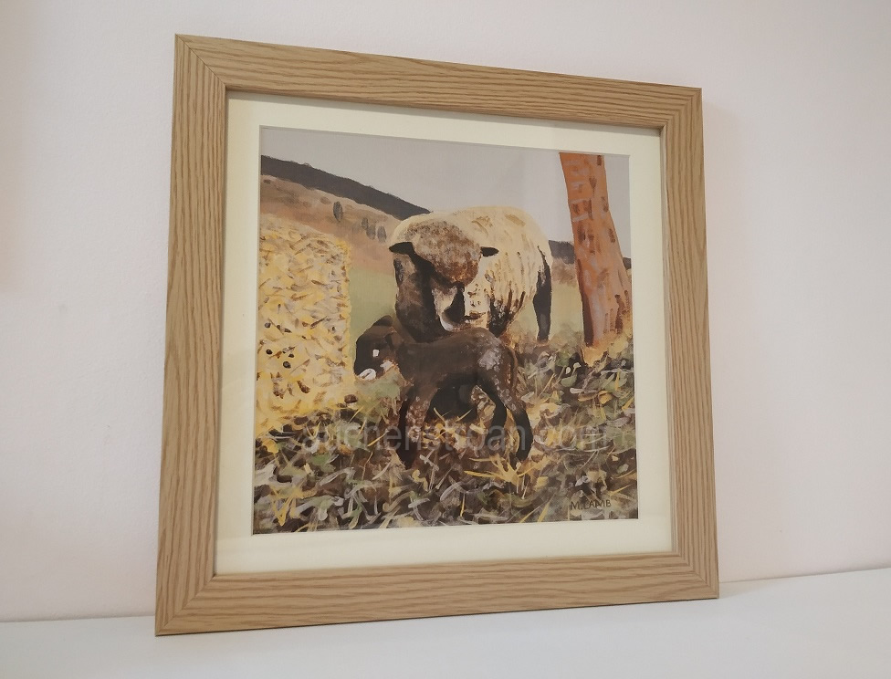 Rustic gifts - sheep in the countryside