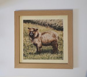 Pictures of sheep in the Scottish countryside - Yggy framed
