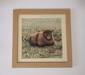 Pictures of Coloured Ryeland sheep - Yoko framed