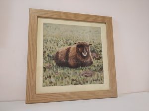 Farm animal pictures - Yoko framed