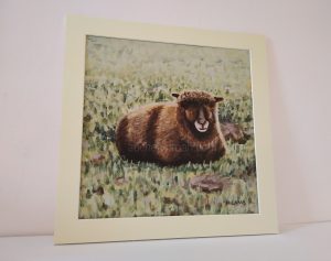 Pictures of Coloured Ryeland sheep - Yoko mounted