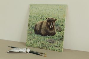 Pictures of Coloured Ryeland sheep - Yoko original acrylic painting