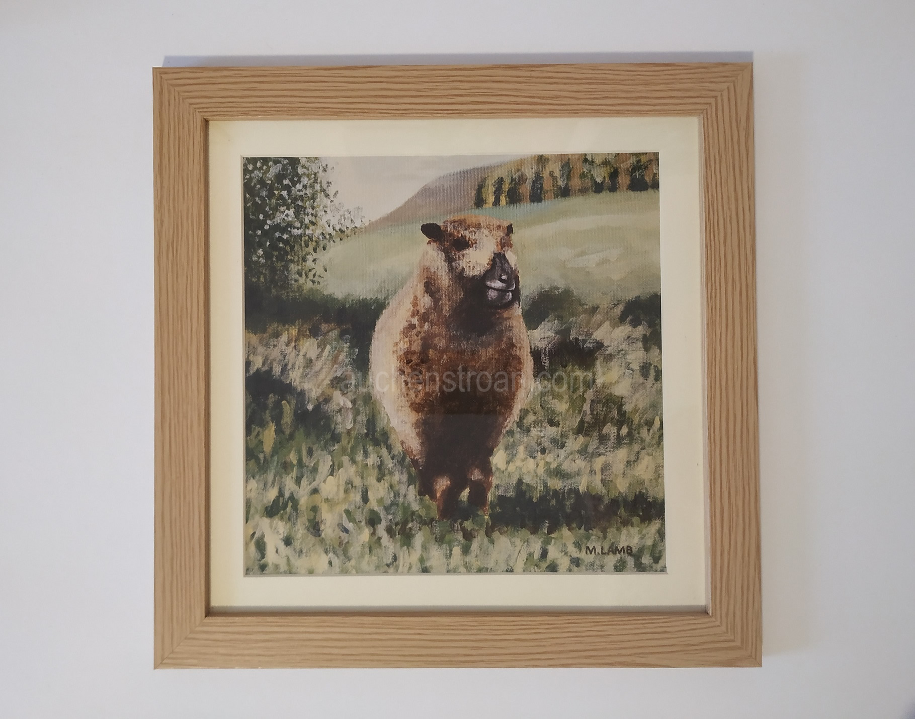 Gifts for sheep lovers - Ynca framed
