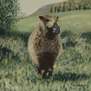 Gifts for sheep lovers