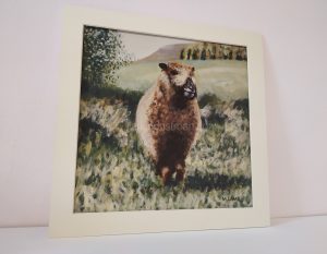 sheep picture - mounted print - Ynca