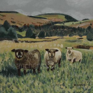 acrylic painting - sheep - Yin Yarr & Yogi