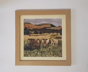 framed print - Yin Yarr & Yogi -coloured ryeland sheep
