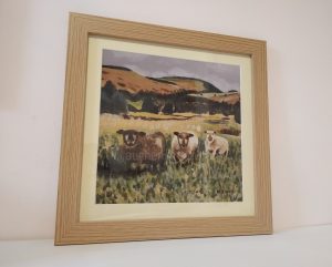 rustic picture framed print - sheep - Yin Yarr & Yogi