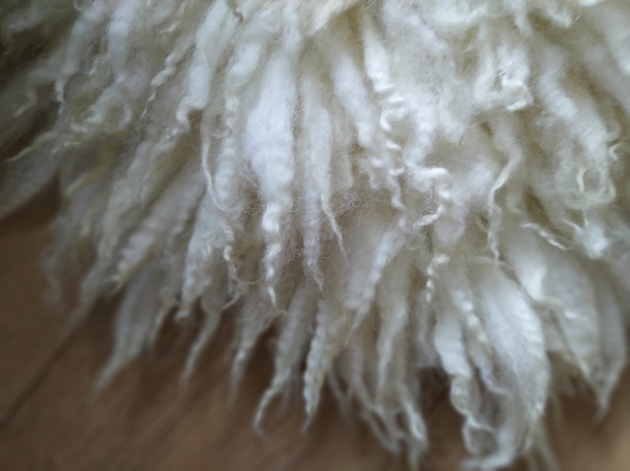 Felted-fleece, sheep-friendly “sheepskin” mini rug – rich cream – Swaledale Mule – 25” x 18” - Image 6