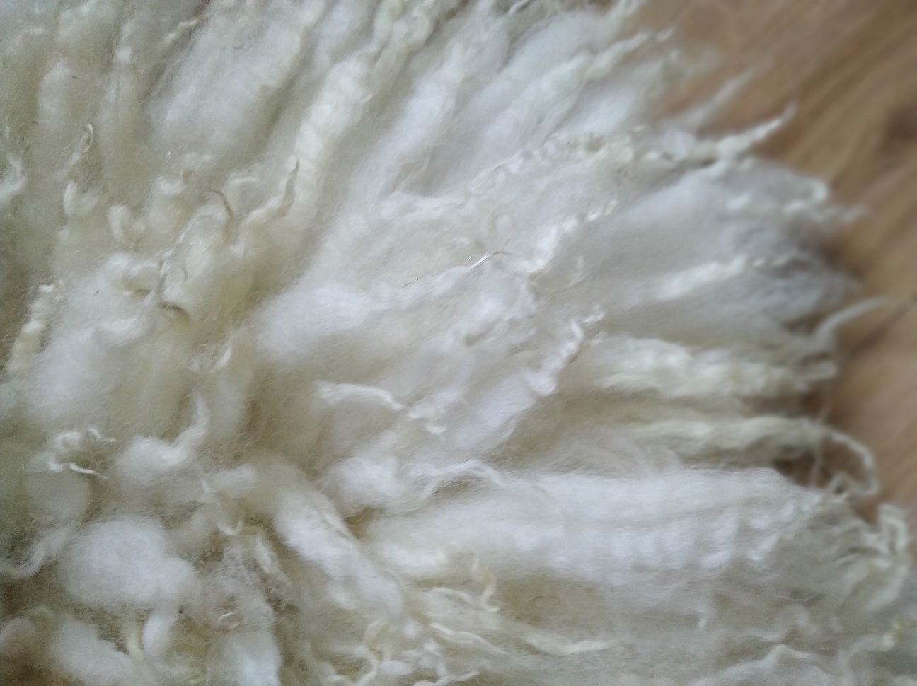 Felted-fleece, sheep-friendly “sheepskin” mini rug – rich cream – Swaledale Mule – 25” x 18” - Image 5