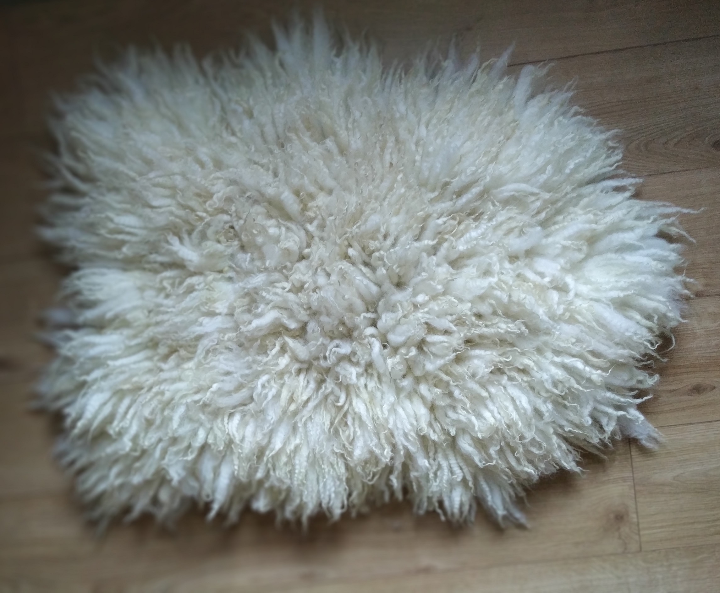Felted-fleece, sheep-friendly “sheepskin” mini rug – rich cream – Swaledale Mule – 25” x 18” - Image 2