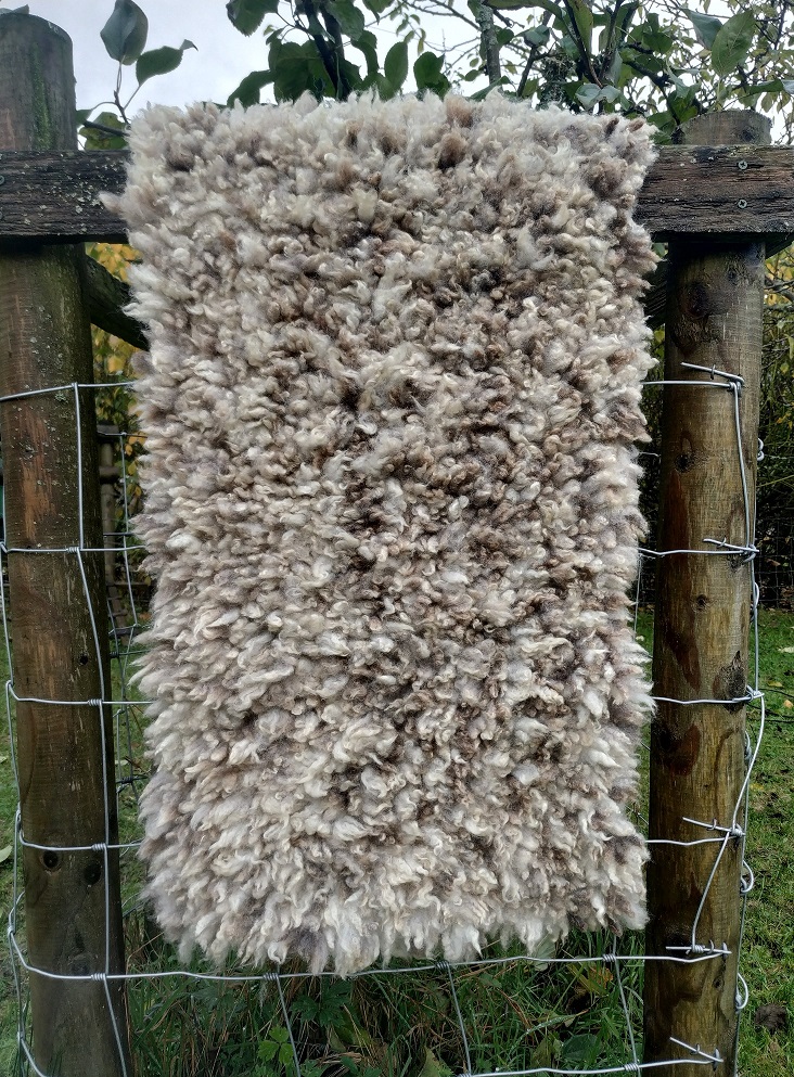 Homegrown, felted-fleece, sheep-friendly “sheepskin” pram liner/baby mat – natural beige, cream, grey – Coloured Ryeland fleece provided by Sky– 32” x 15”